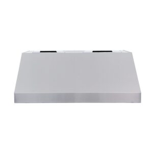 RCS 48" Vent Hood w/ 2000 CFM - RVH48B