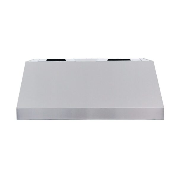 RCS 48" Vent Hood w/ 2000 CFM - RVH48B